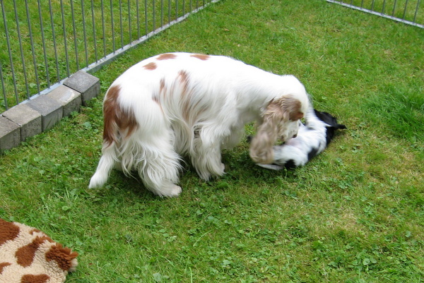 Garten14