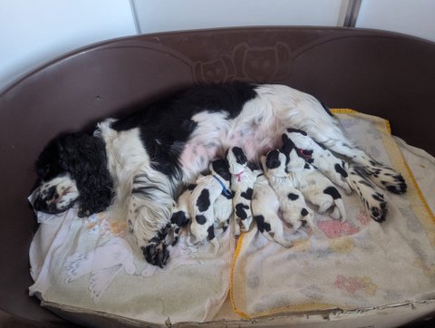 Wynia nach der Geburt